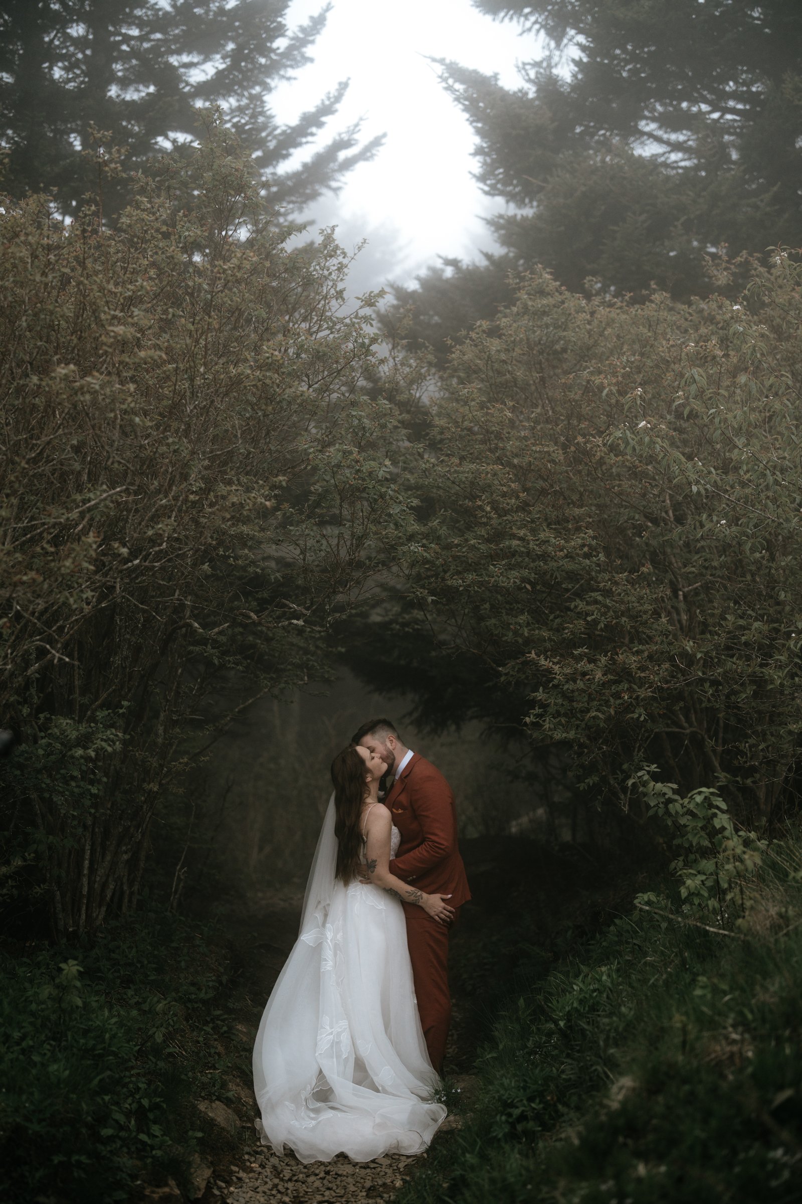 foggy-black-balsam-knob-mountain-elopement-asheville-wedding-photographer-61.jpg