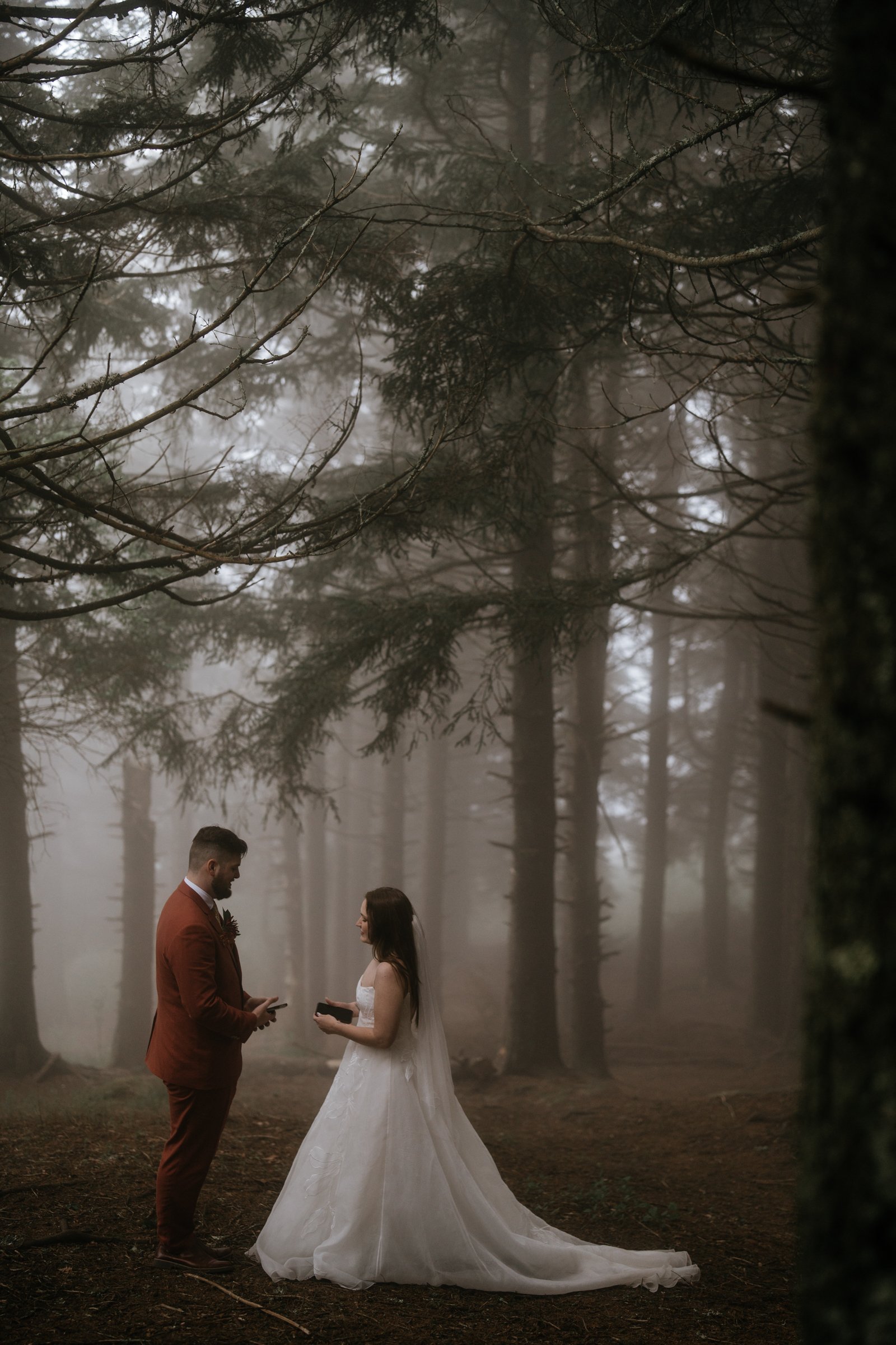 foggy-black-balsam-knob-mountain-elopement-asheville-wedding-photographer-65.jpg