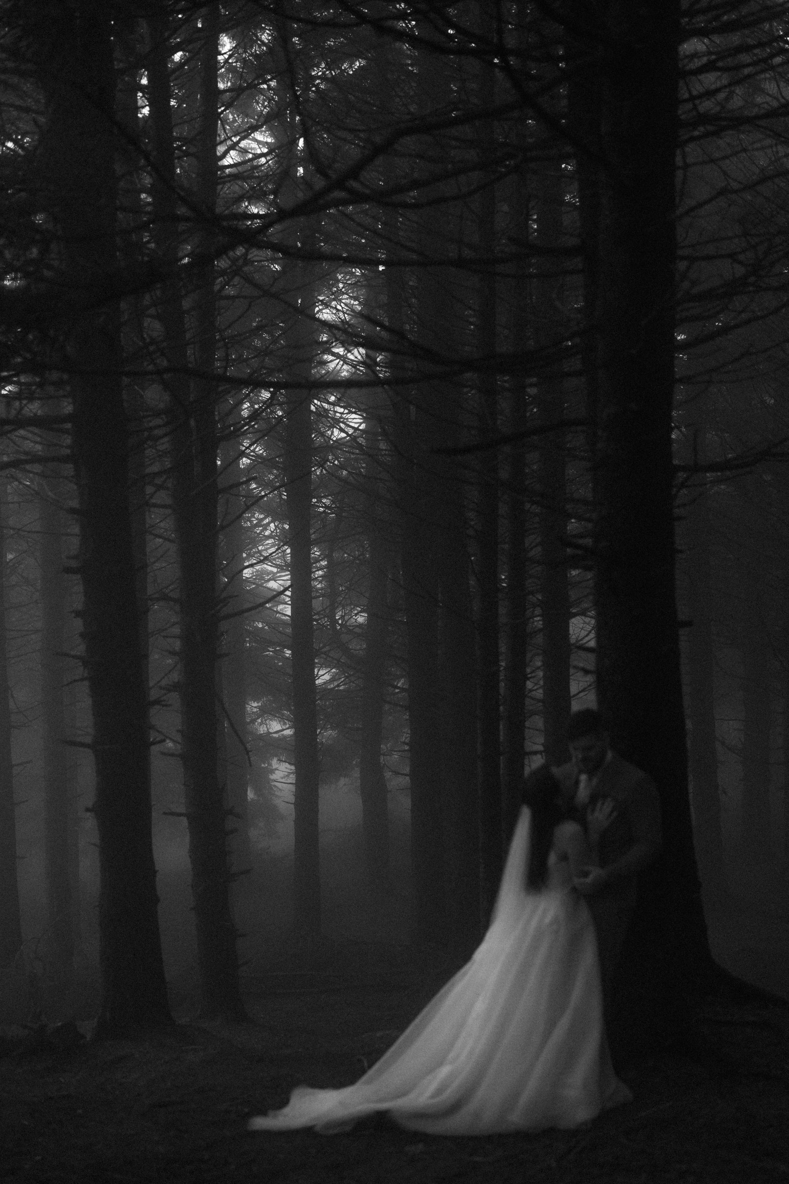 foggy-black-balsam-knob-mountain-elopement-asheville-wedding-photographer-80.jpg