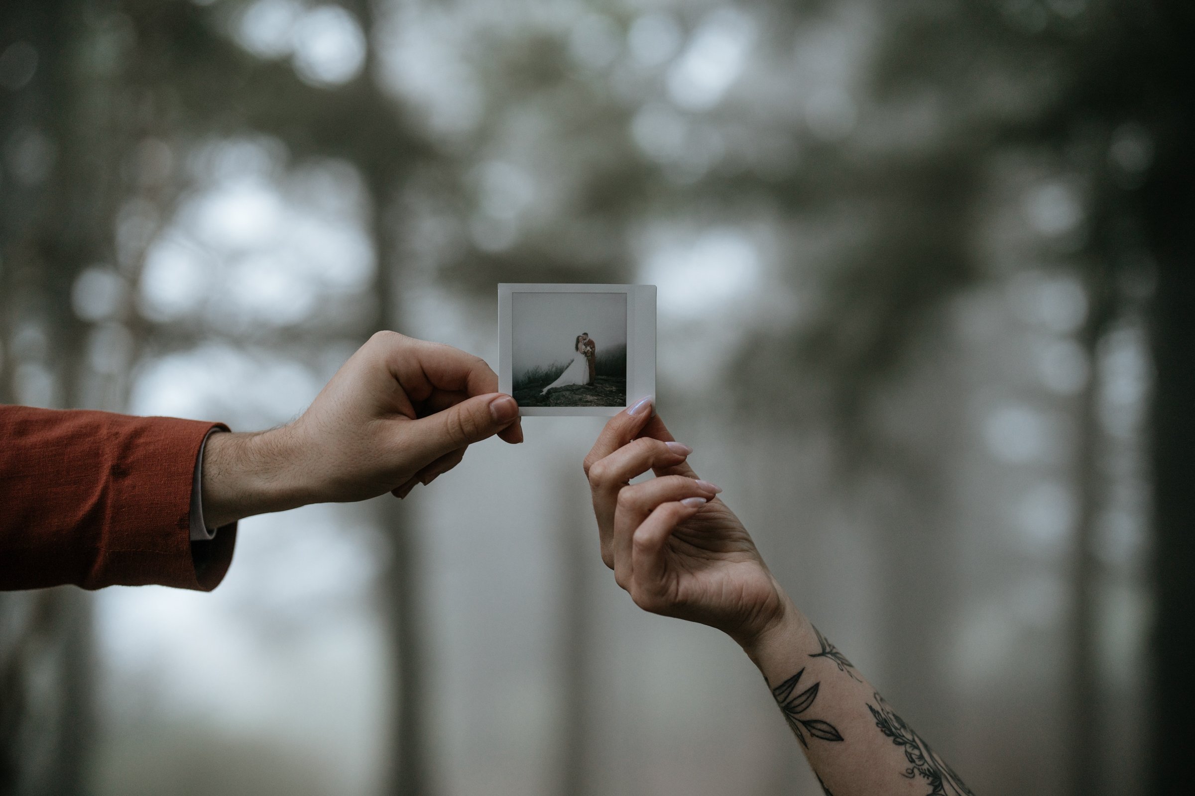 foggy-black-balsam-knob-mountain-elopement-asheville-wedding-photographer-78.jpg