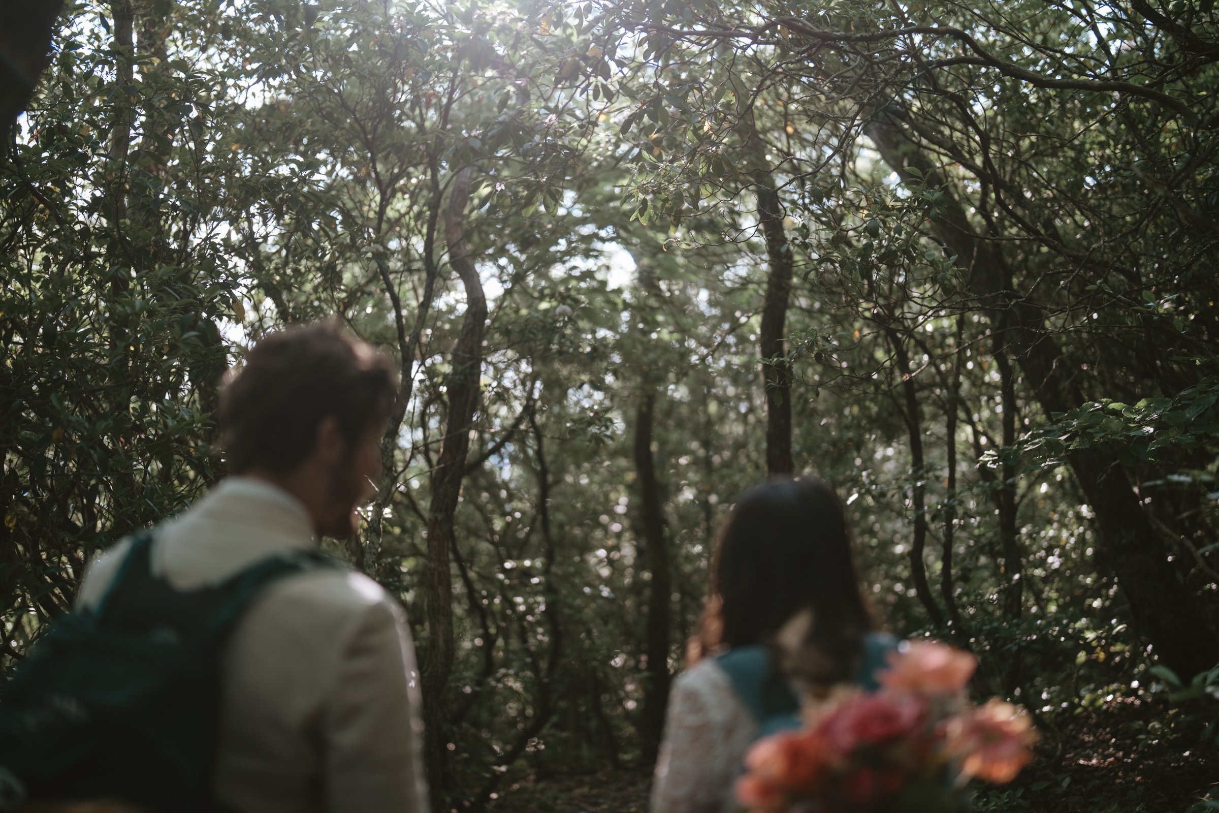 hawksbill-mountain-trail-elopement-asheville-elopement-photographer-139.jpg