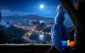 RIO: A BIRD’S EYE VIEW JOURNEY THROUGH BRAZIL