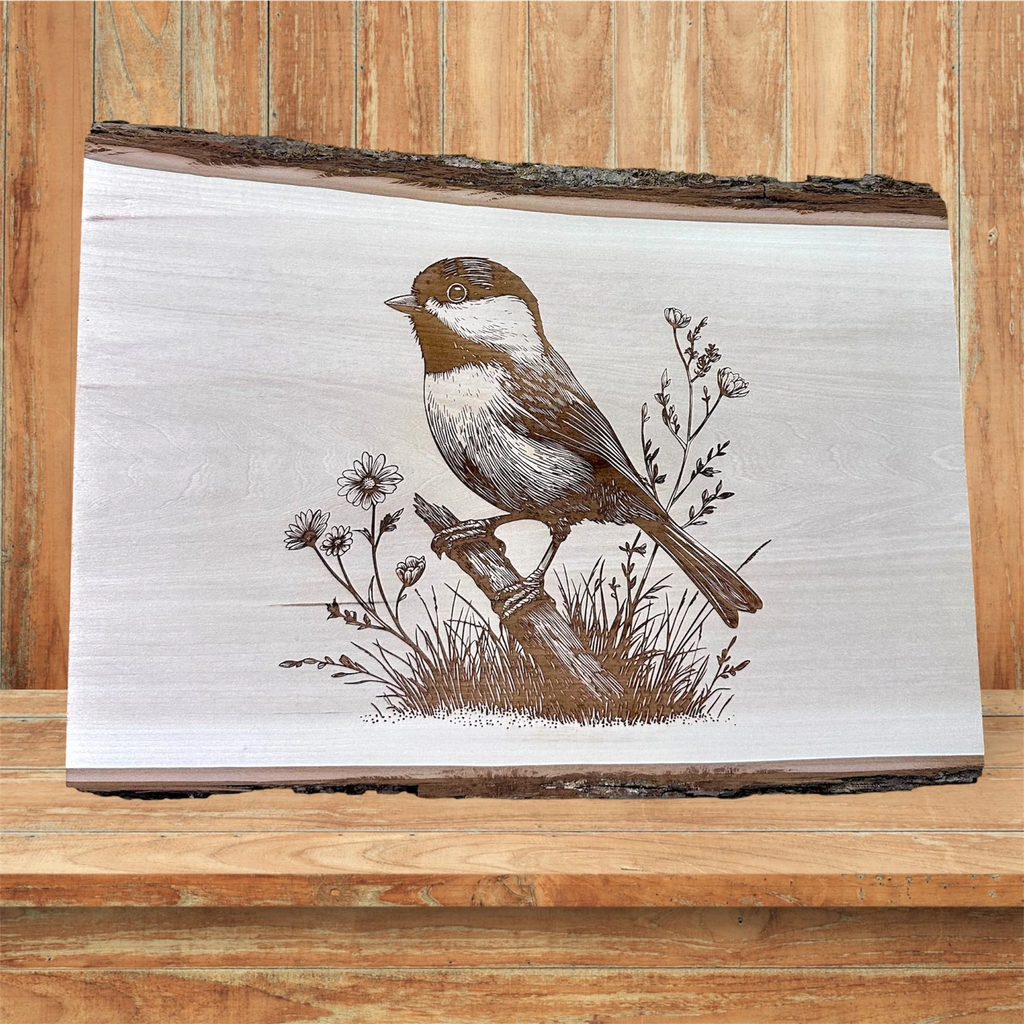 Black-Capped Chickadee
