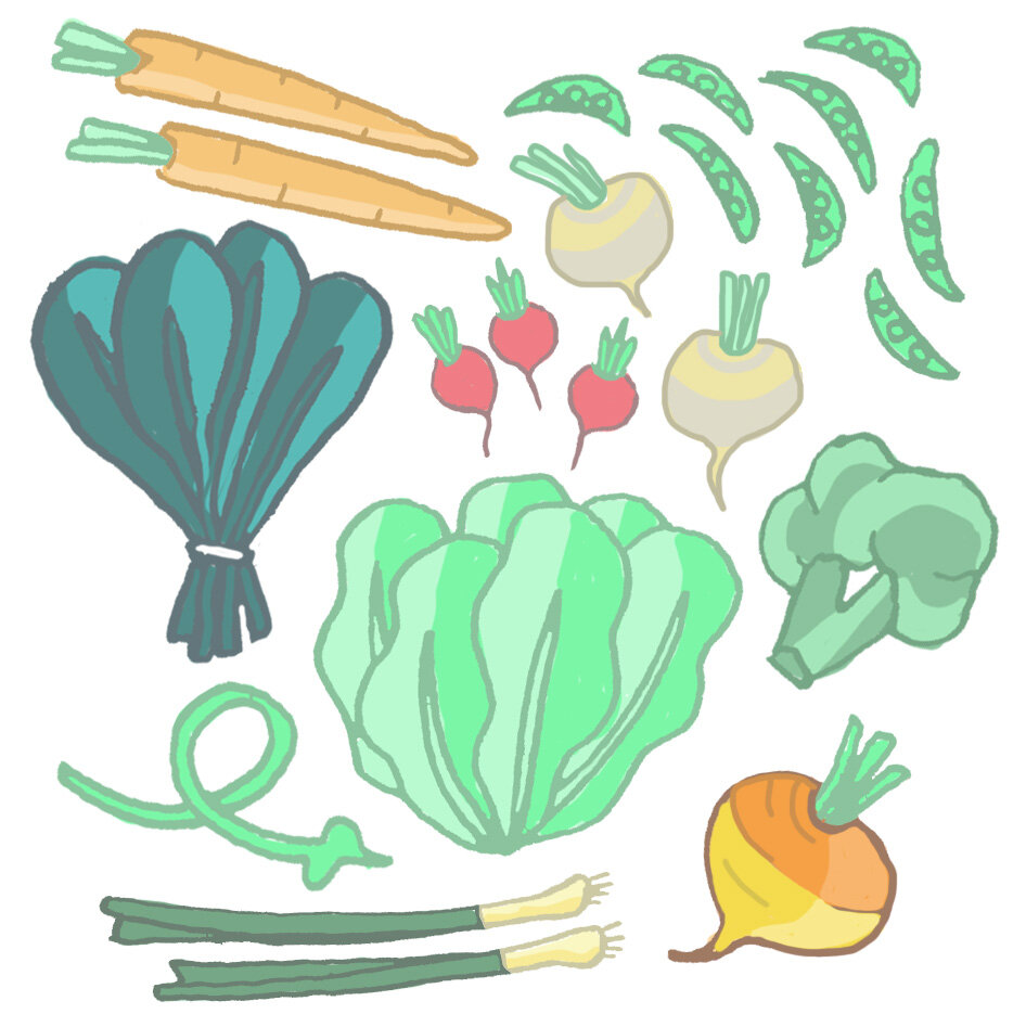 spring share copy.jpg