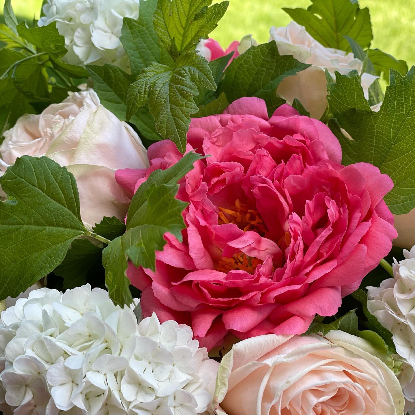 When you can use flowers from plants you have nourished to design with, there is a feeling of accomplishment!  The coral peony pictured is from my four year old peony bush.  It takes about three years before you see an abundant of blooms. Once the pl