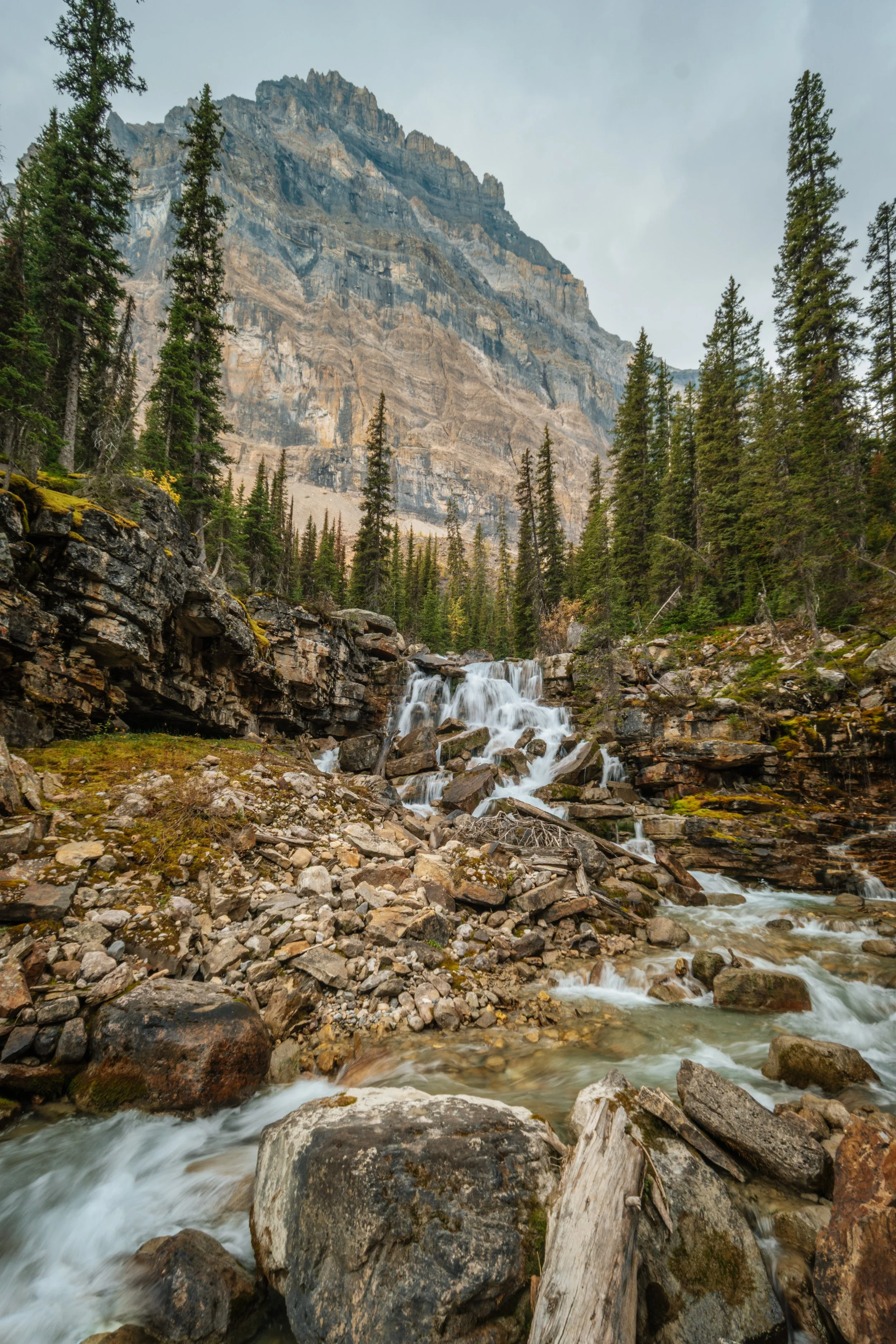 2025-SLL-Fall-Amphitheatre(TamasinLangton)  (3).jpg