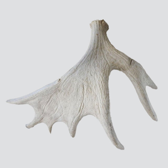 unnamed-(32).jpg