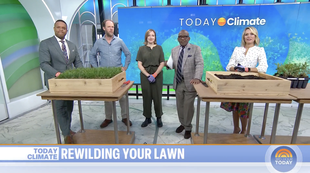 Plan It Wild on NBC’s TODAY Show