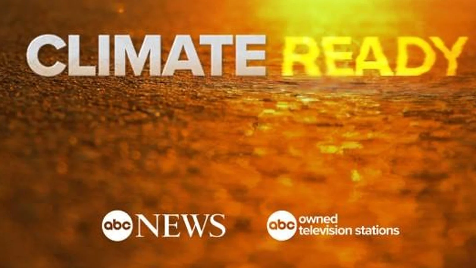 We’re on ABC News!