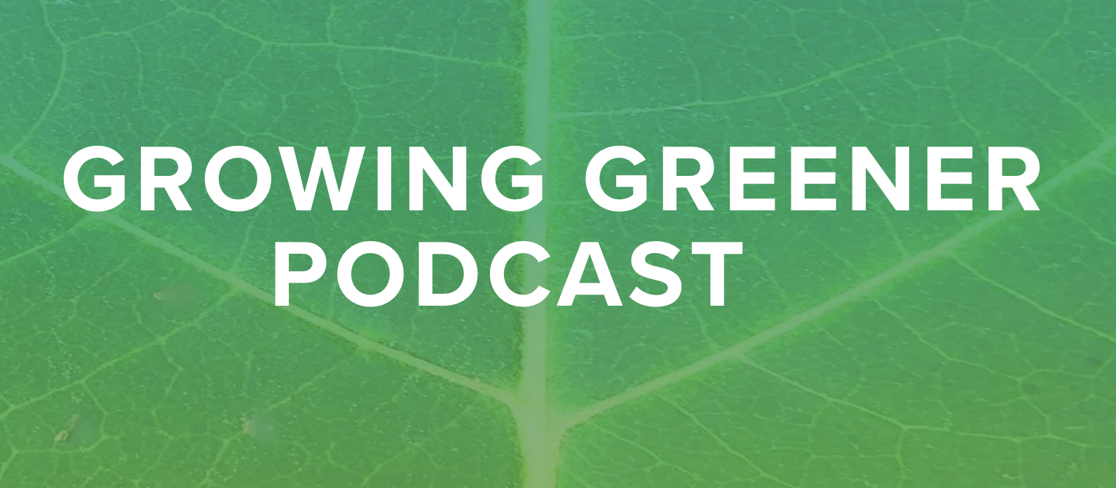 Plan It Wild on the Mic: Talking Rewilding on Growing Greener