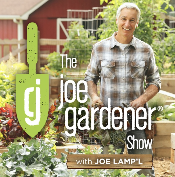 Talking Rewilding with Joe Gardener