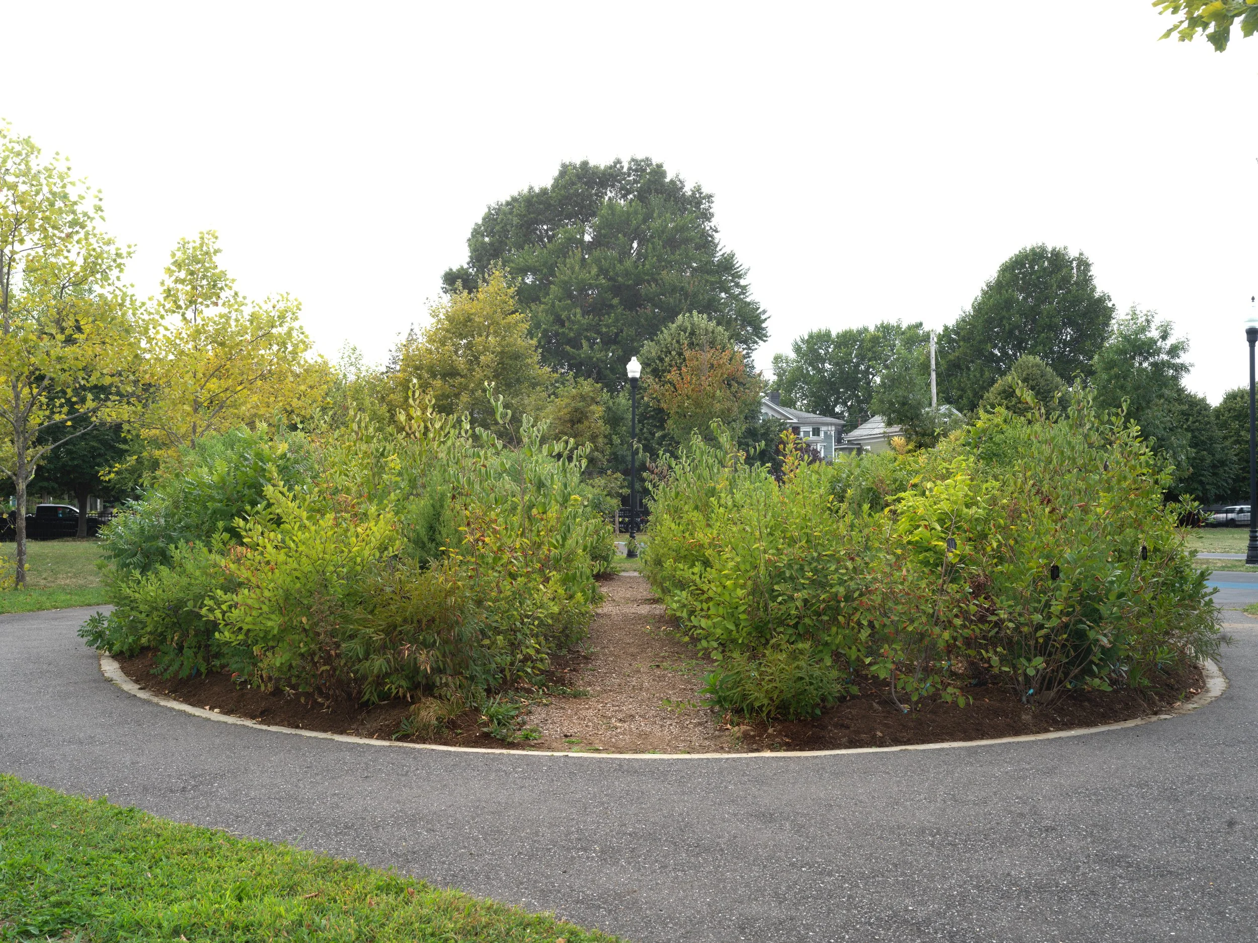 Aspetuck MicroForests — Plan it Wild