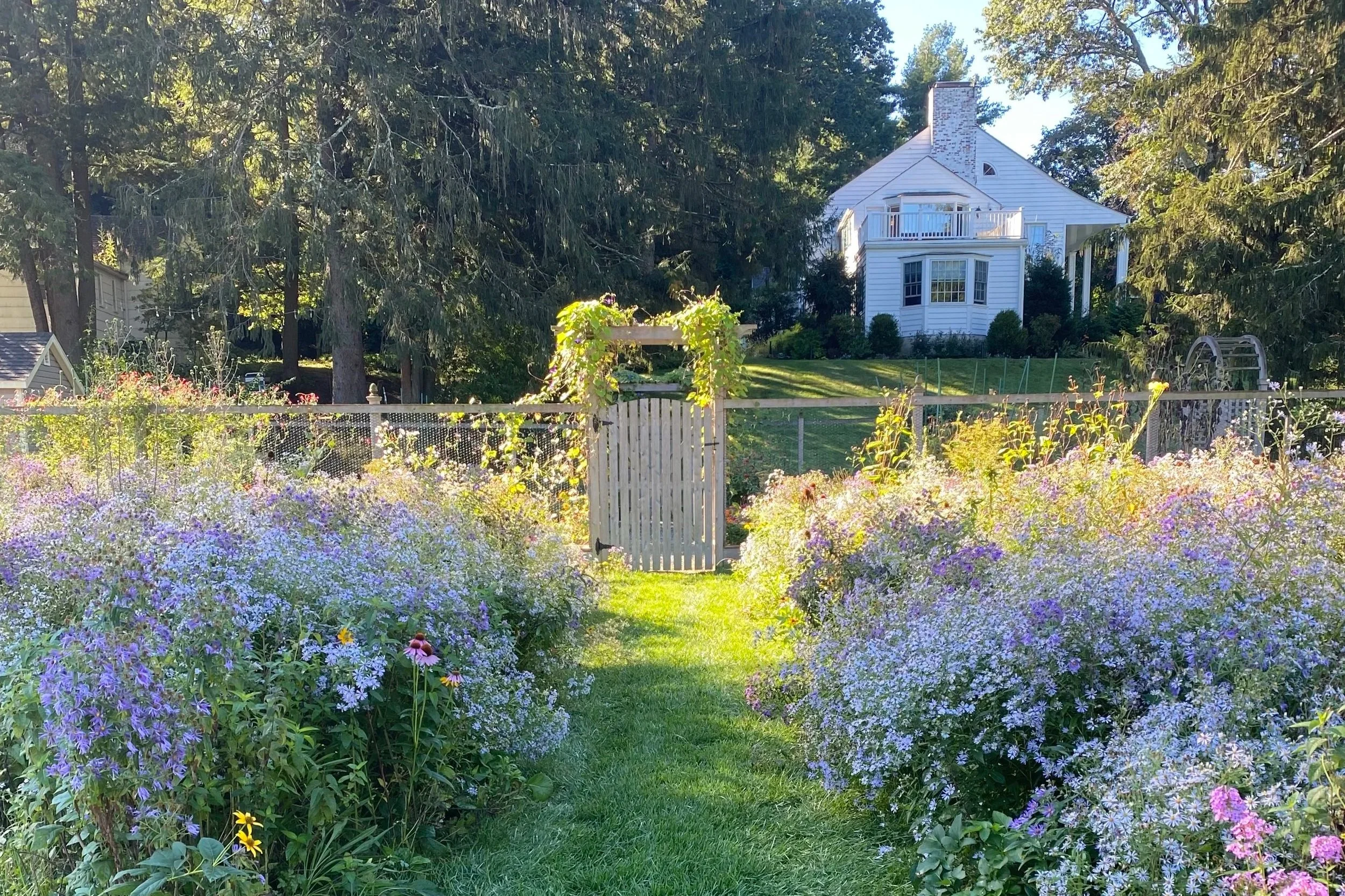The Era of the American Lawn is Over
