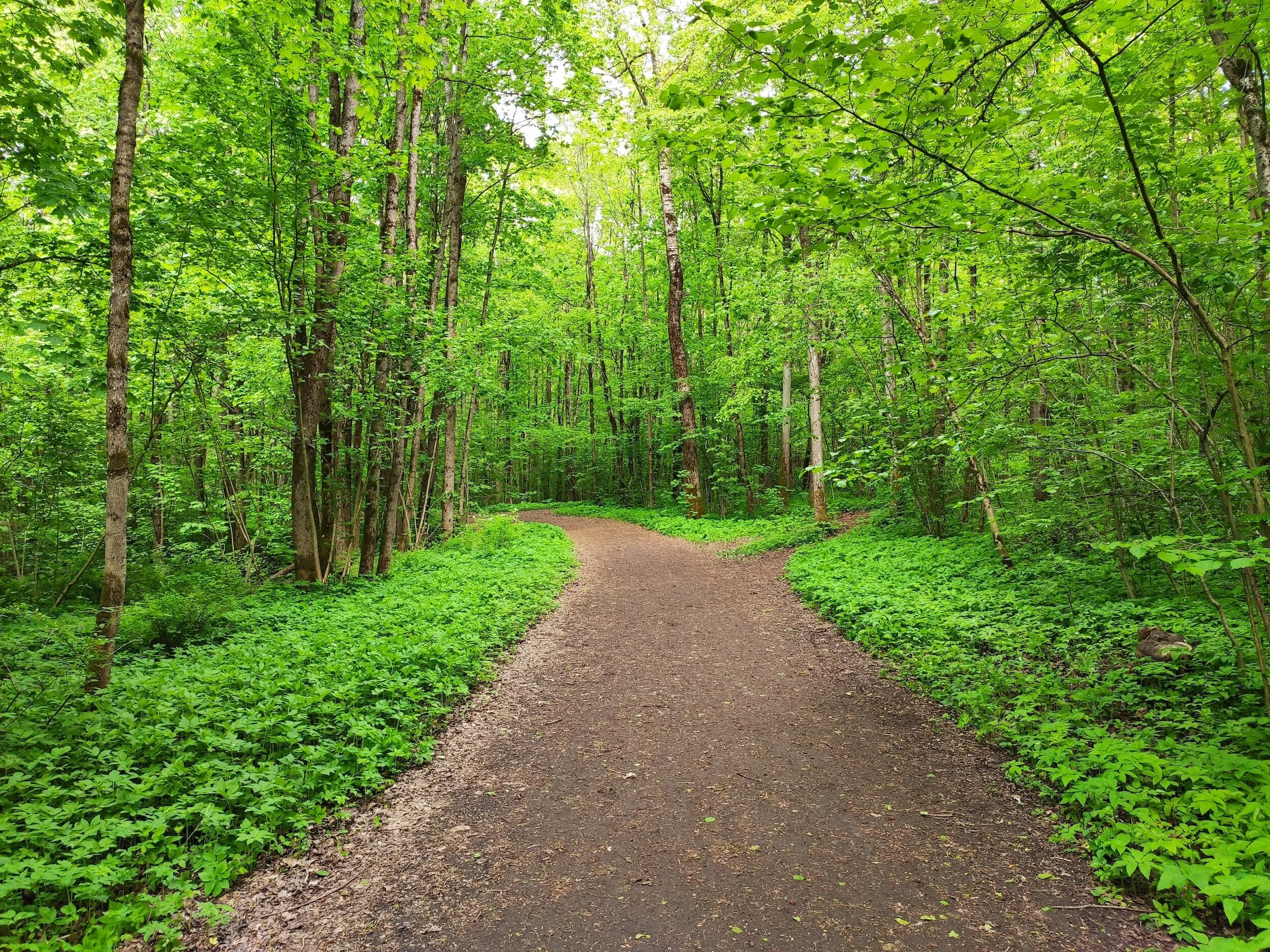 The importance of staying on the trail at all times