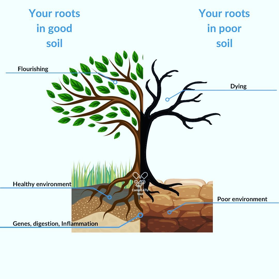 Root cause is digging below the surface, beyond the symptoms, and addressing the originating problem or problems. 
When addressing root cause, ALL factors are important. 
The short answer (and the one most social media and google searches lead you to