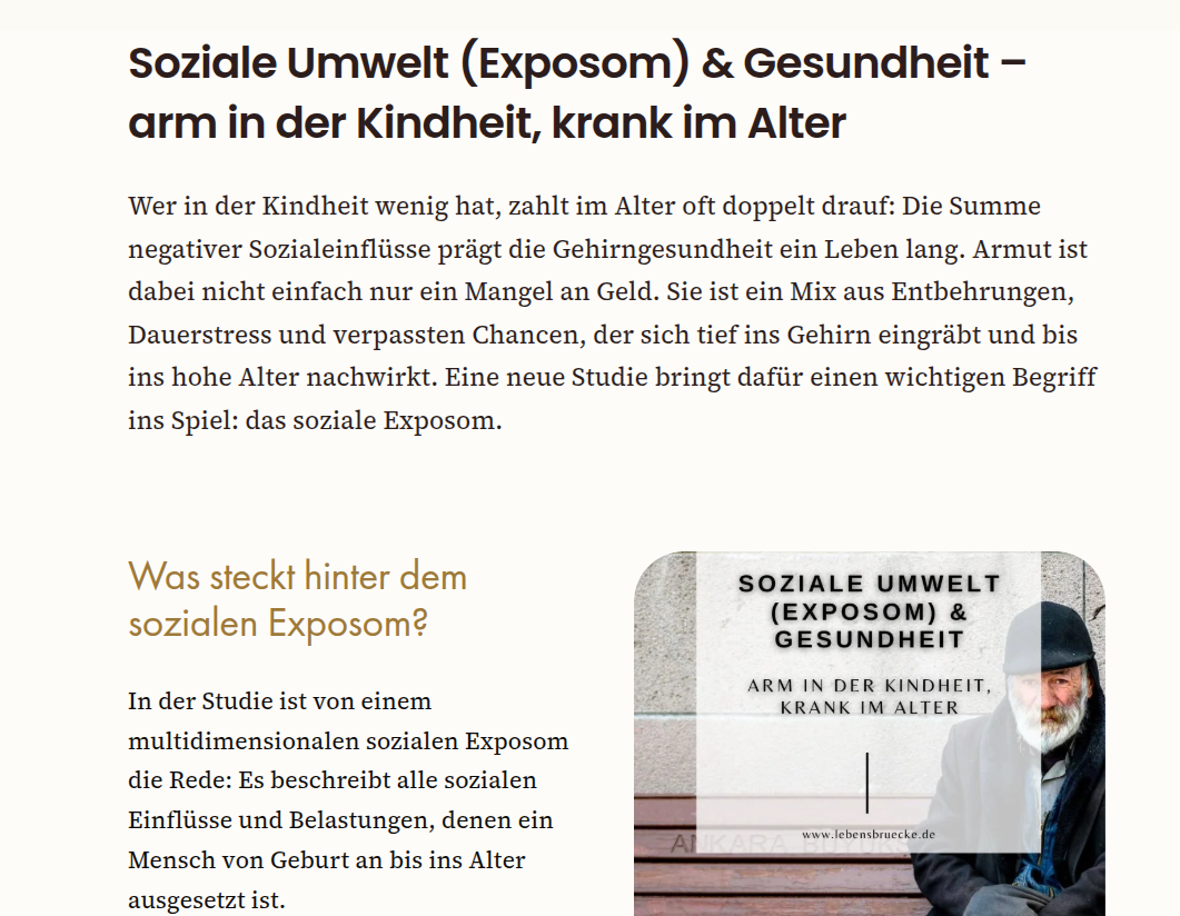 SEO Blogtexte Gesellschaft & Soziales