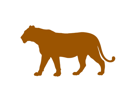 Content Marketing Texte schreiben lassen