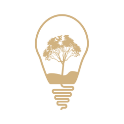 Empathie & Denken statt Rechnen & Rationalisieren