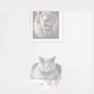 SEO Philosophie-Blog von Tamara Niebler