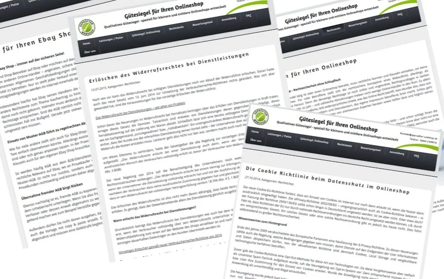 SEO Artikel für Fachportal geprüfter Webshop