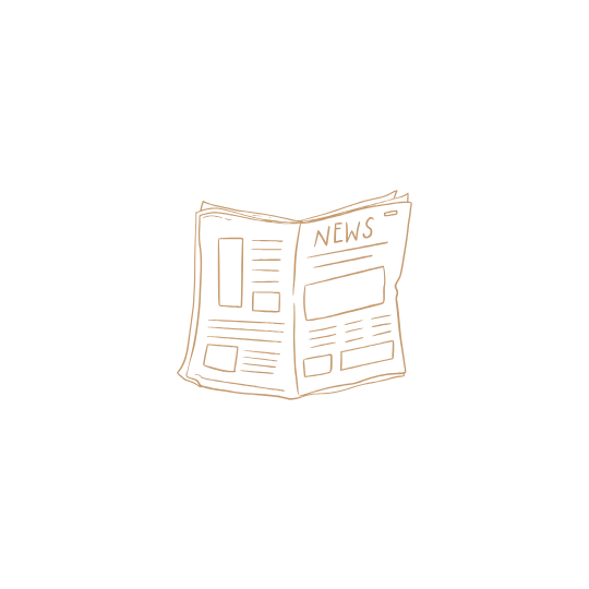 SEO Blogartikel  ab 500 €