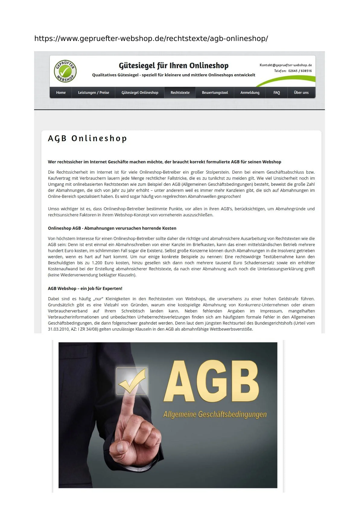 Beispiel: Artikel über AGB für Ebay Shop