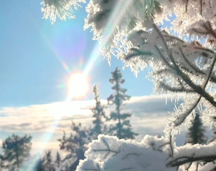 Schermafbeelding 2025-01-17 113743.png