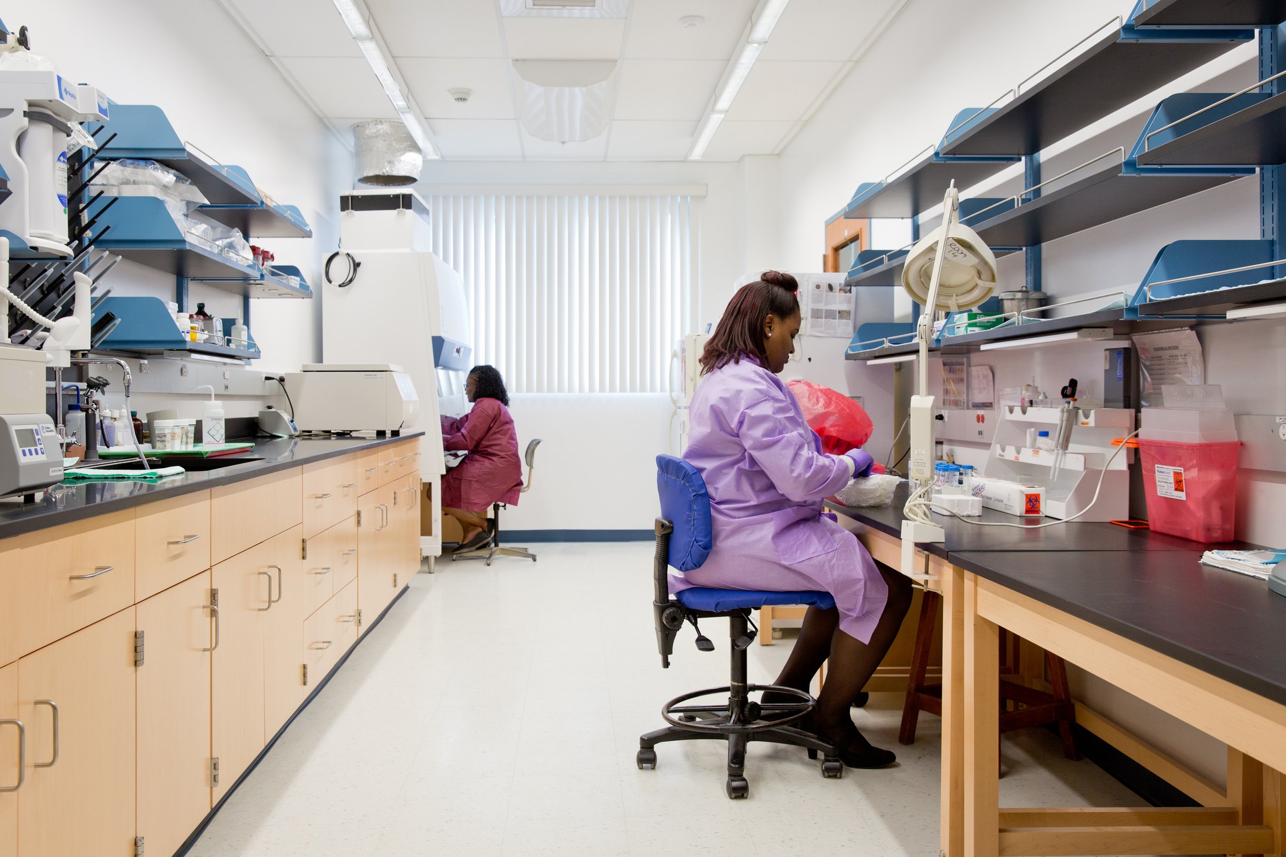 Navigating Dynamic Lab Design Decisions