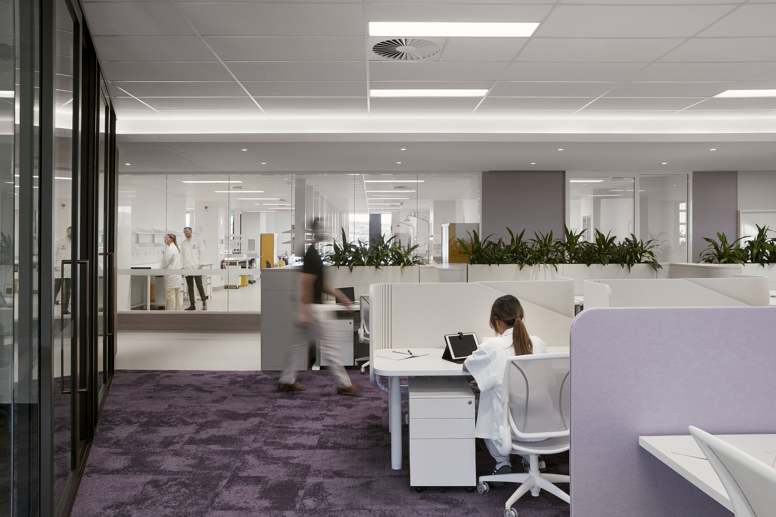 Flinders University Redefines Lab Interiors, Clinches Design Excellence Award