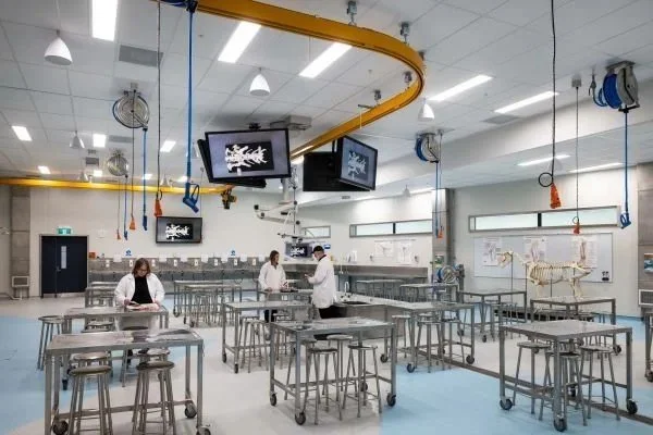 Design Strategies for Modern Veterinary Facilities