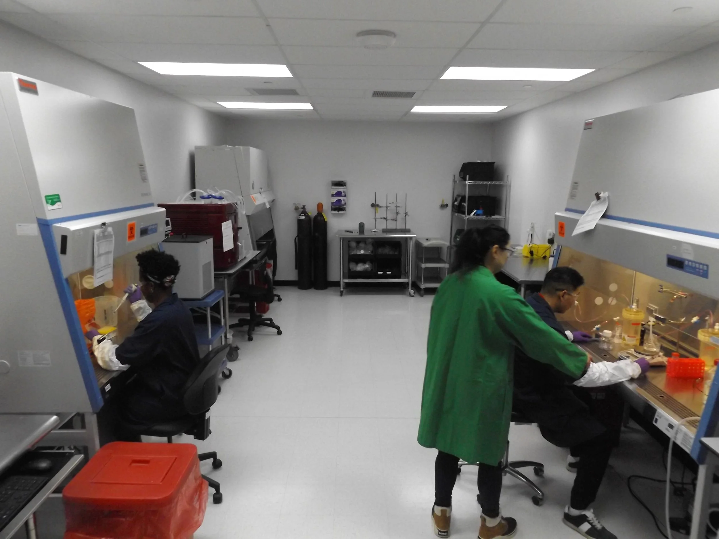 Upgrading Viral Clearance Labs for Capacity, Collaboration, and Comfort