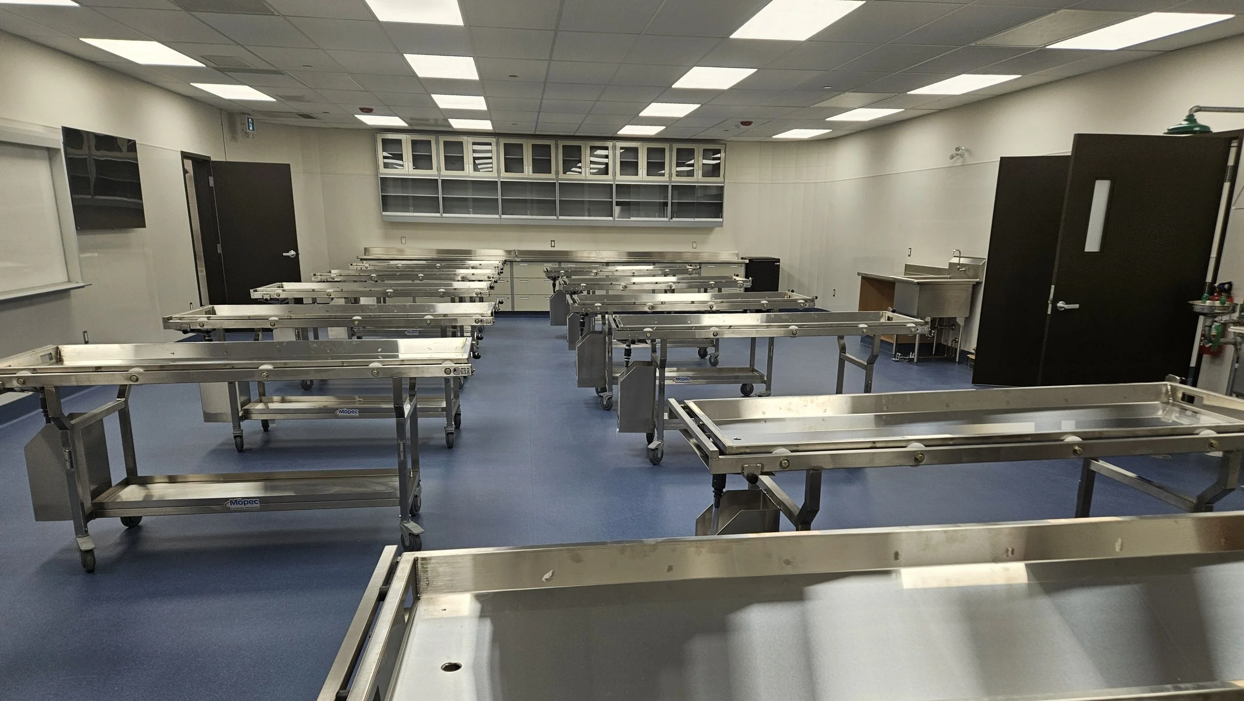 A New Standard for Anatomy Education in Northern Canada