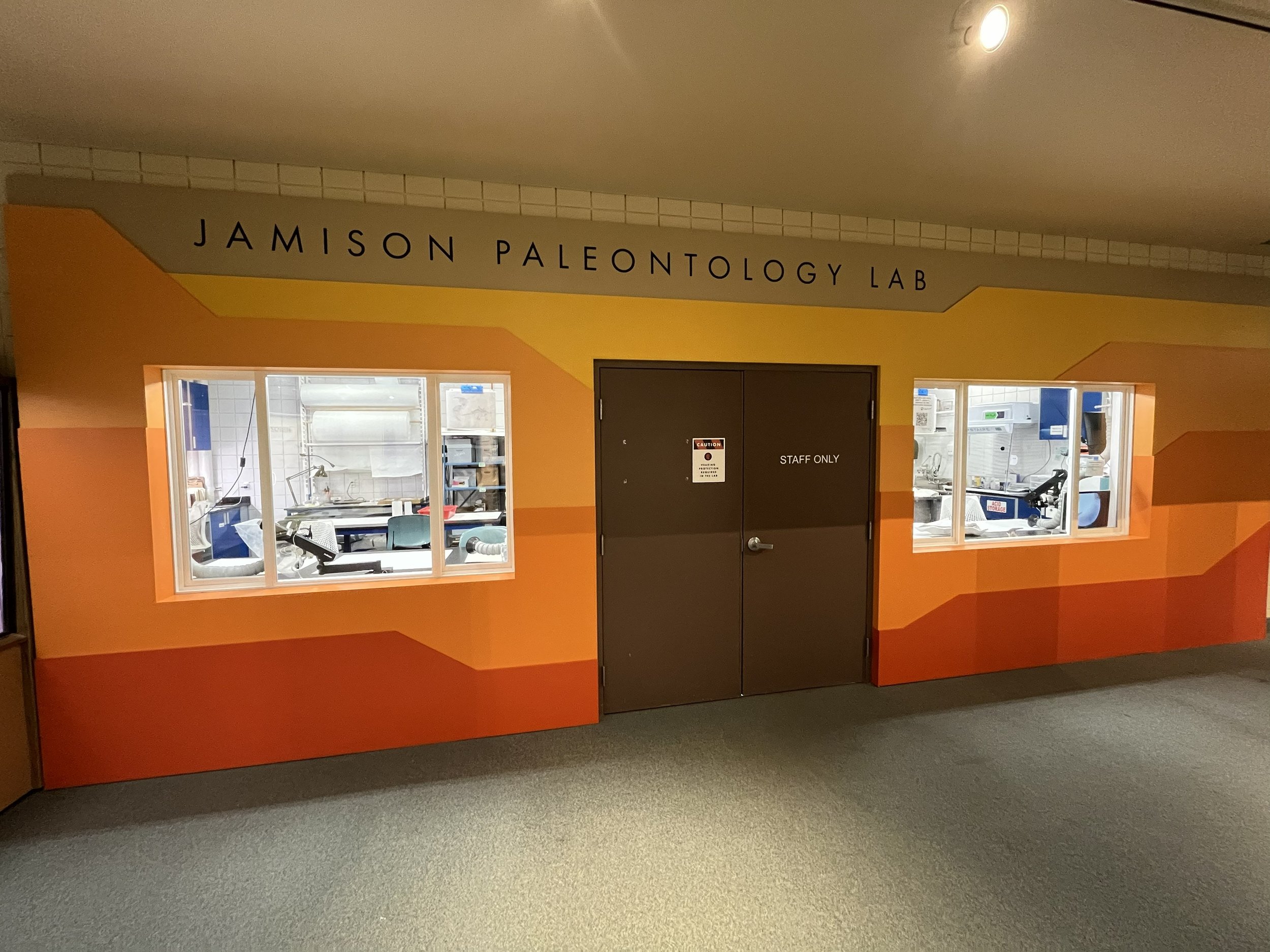 From Vision to Reality: USU Eastern Opens New Paleontology Lab