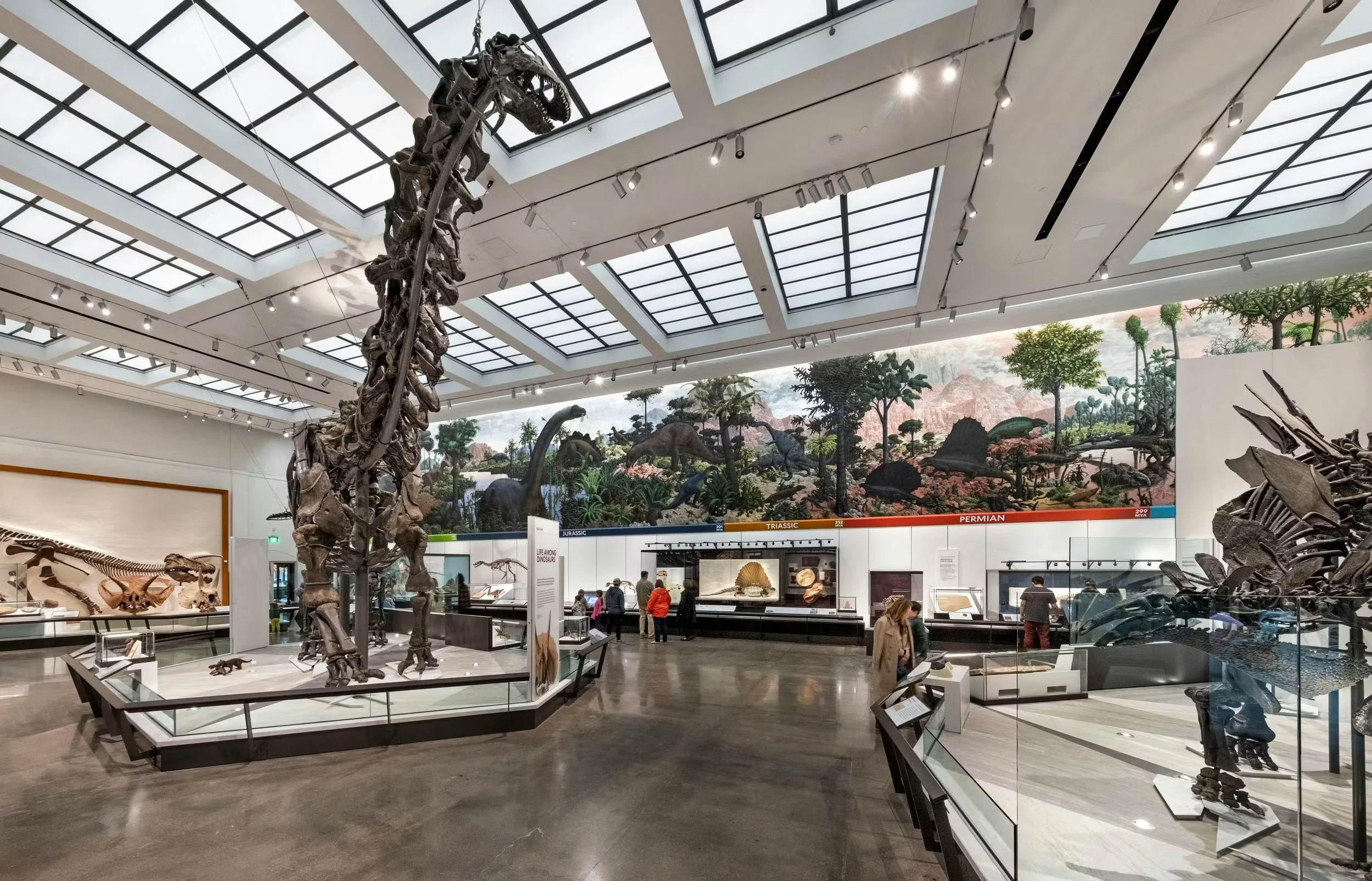 Yale Peabody Museum Expansion Wins AIA Award for Design Excellence