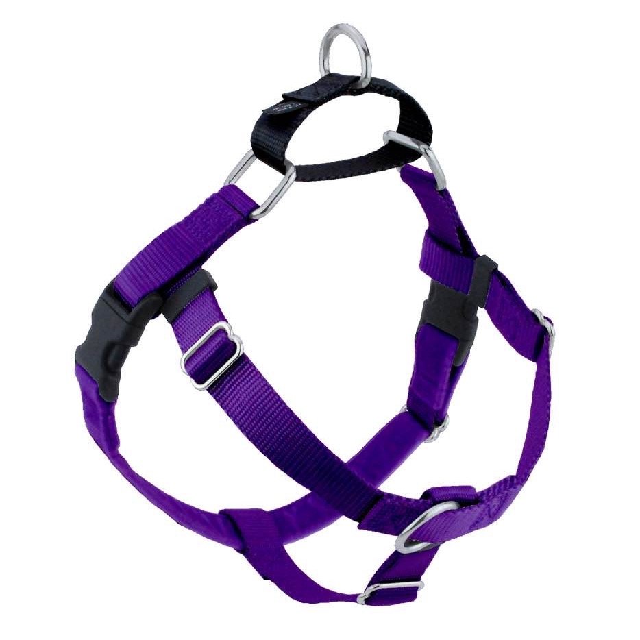 Purple (Copy)
