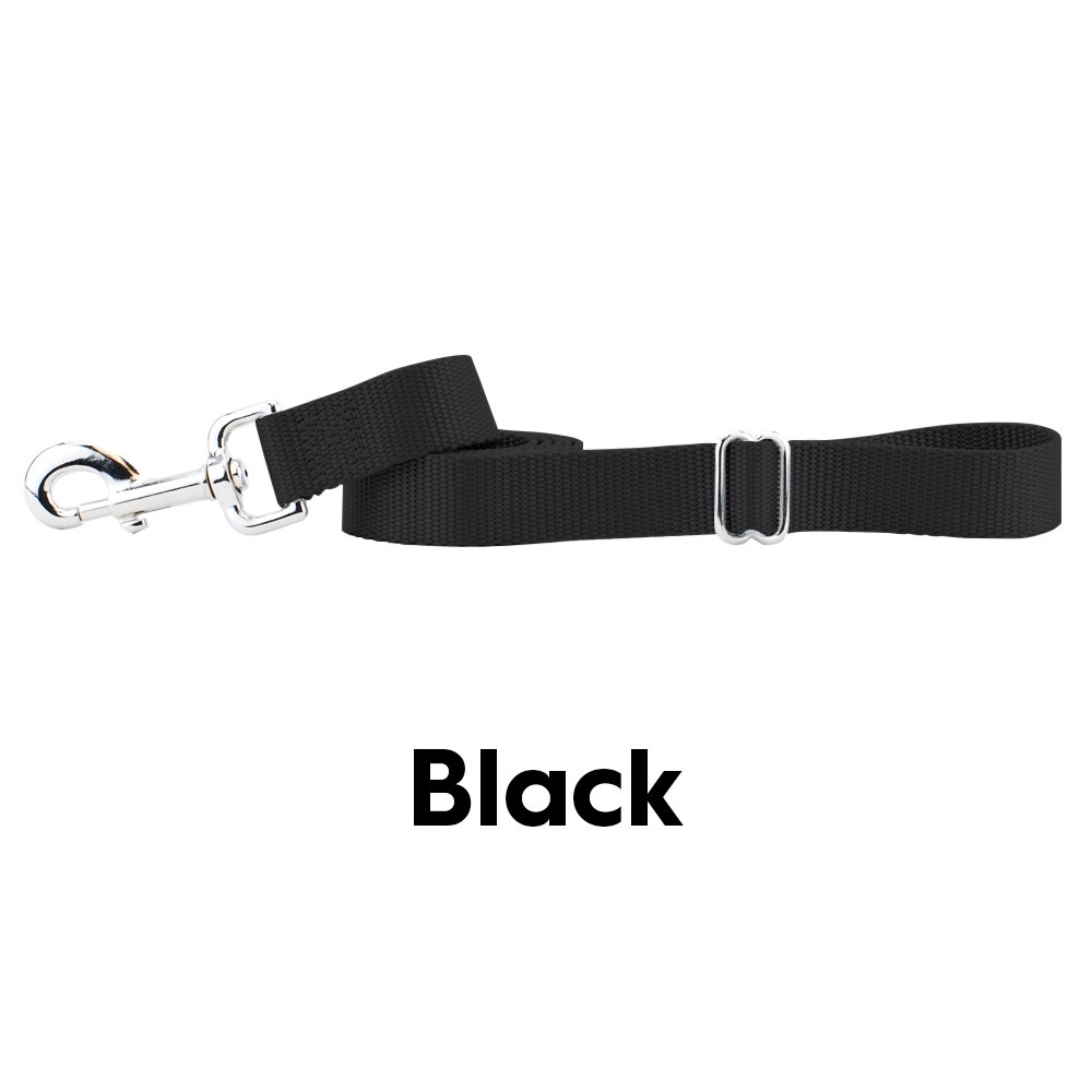 Silver-Leash-Black.jpeg