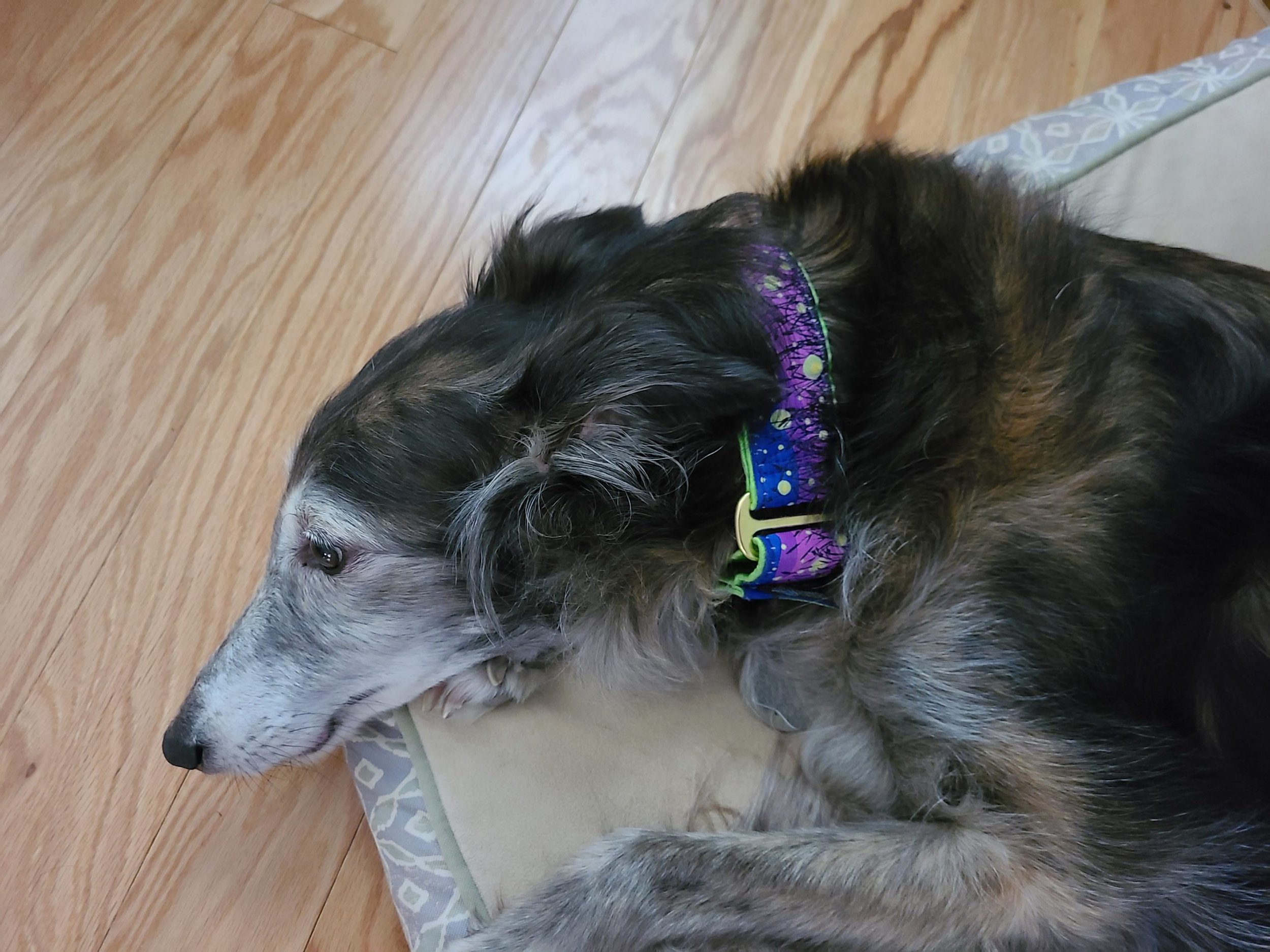 20210407_152539-scaled.jpeg