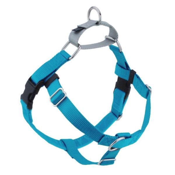 Turquoise (Copy)