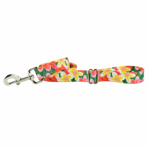 2HD_Plumeria_Leash_Complete-600x600.jpeg