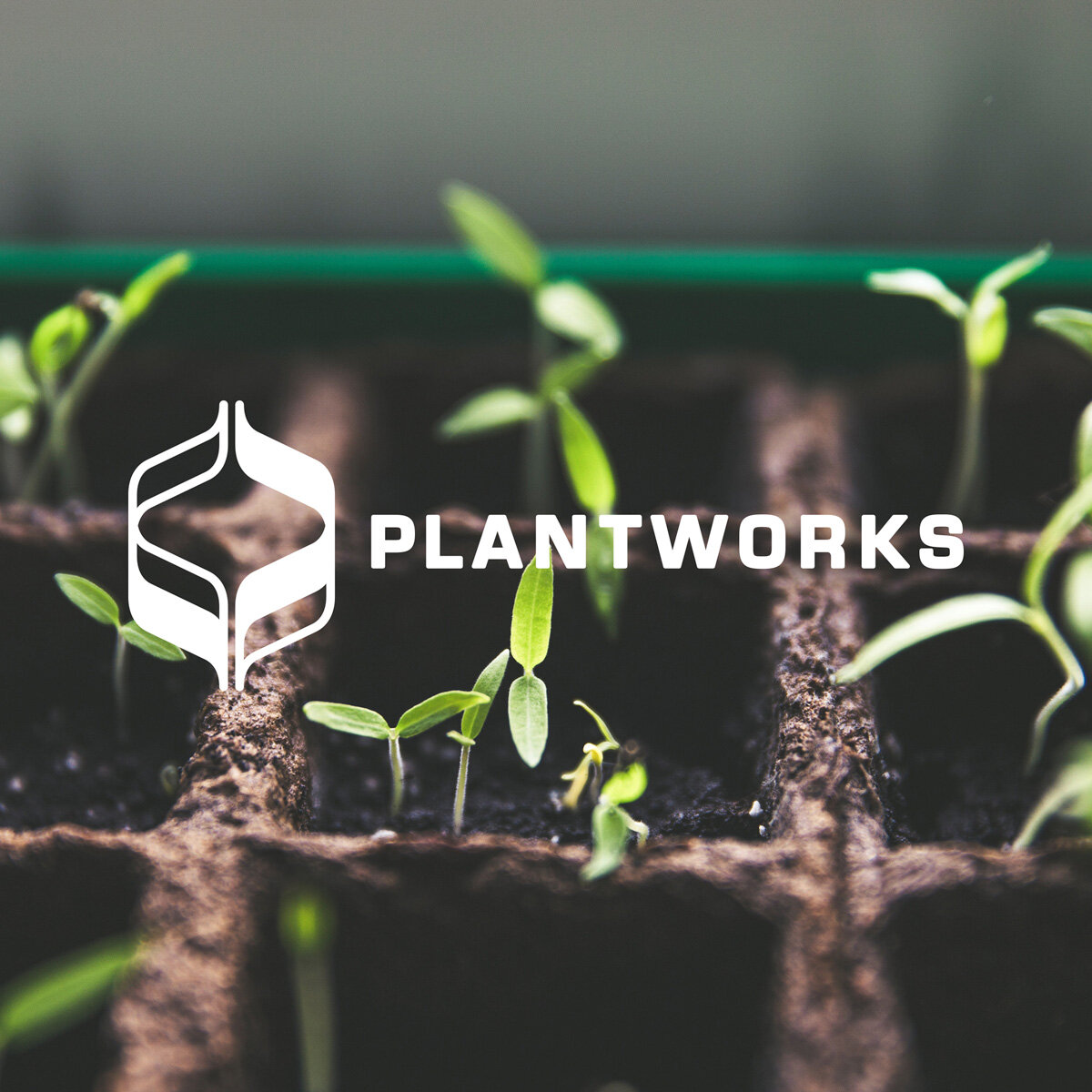 Plant Works.jpg