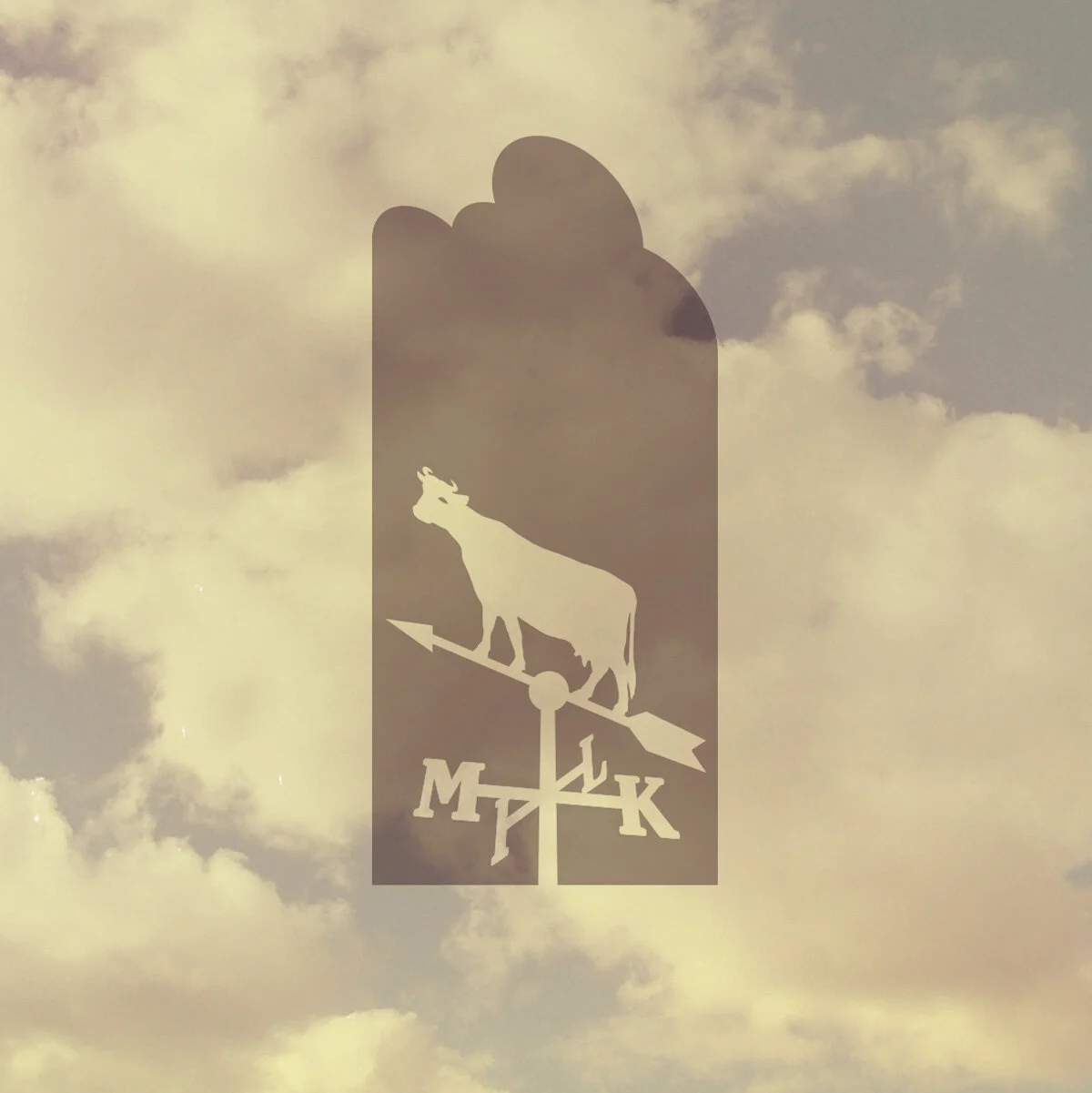 Milk.jpg