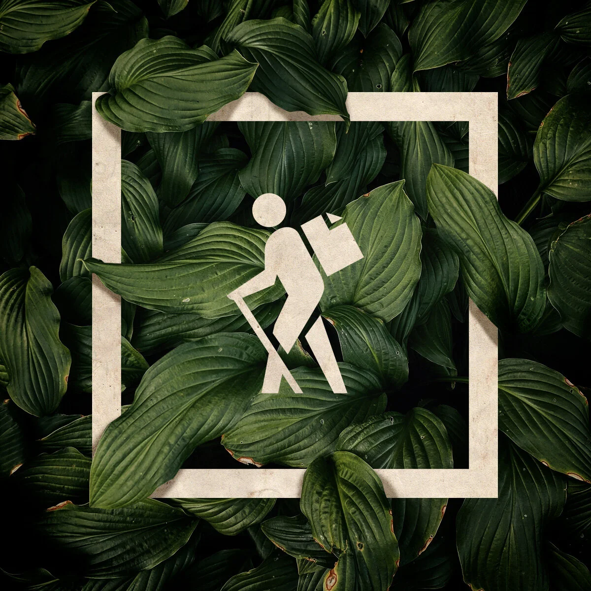 Hiker.jpg