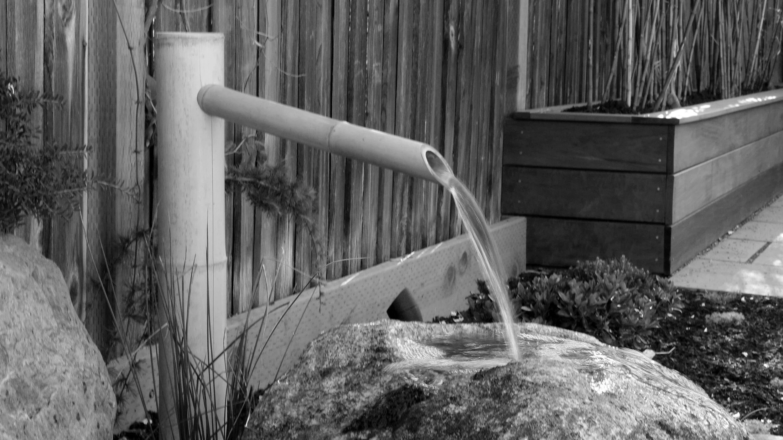 IMGP0025 copy bw (2).jpg