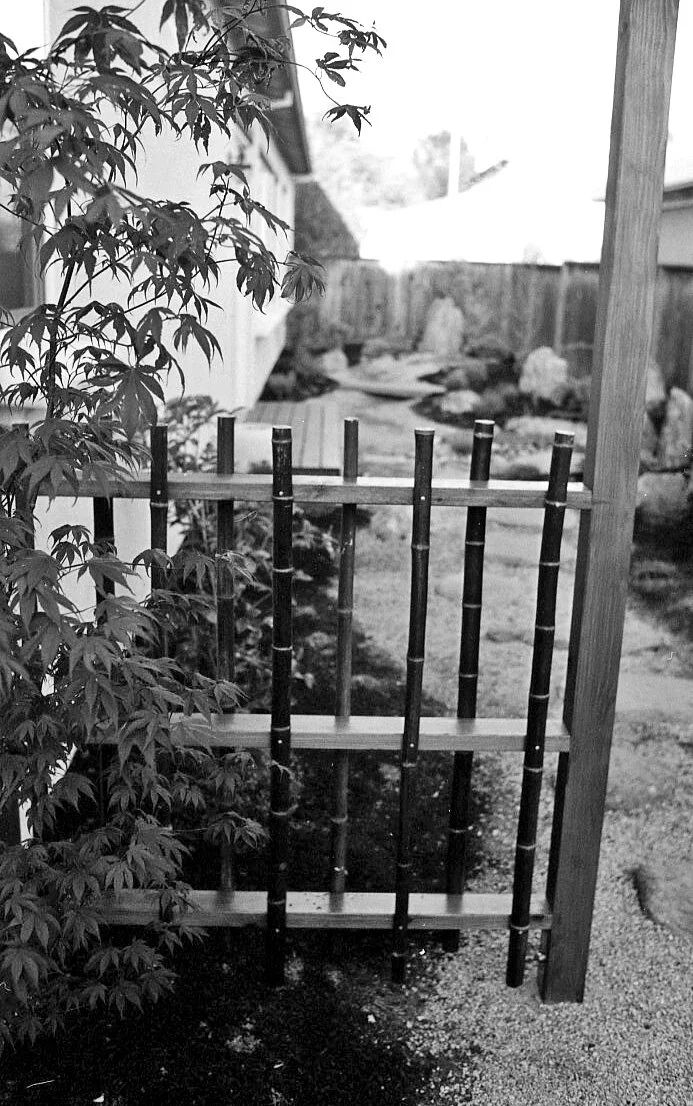 liverworst garden 073 copy.jpg