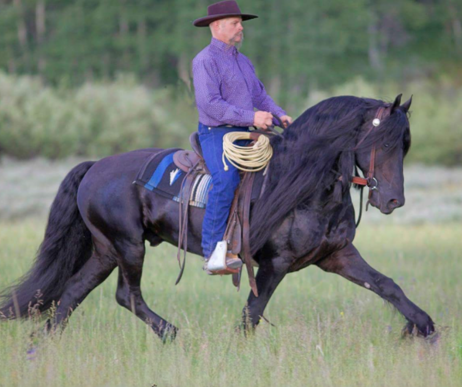 Jim Hicks Clinic