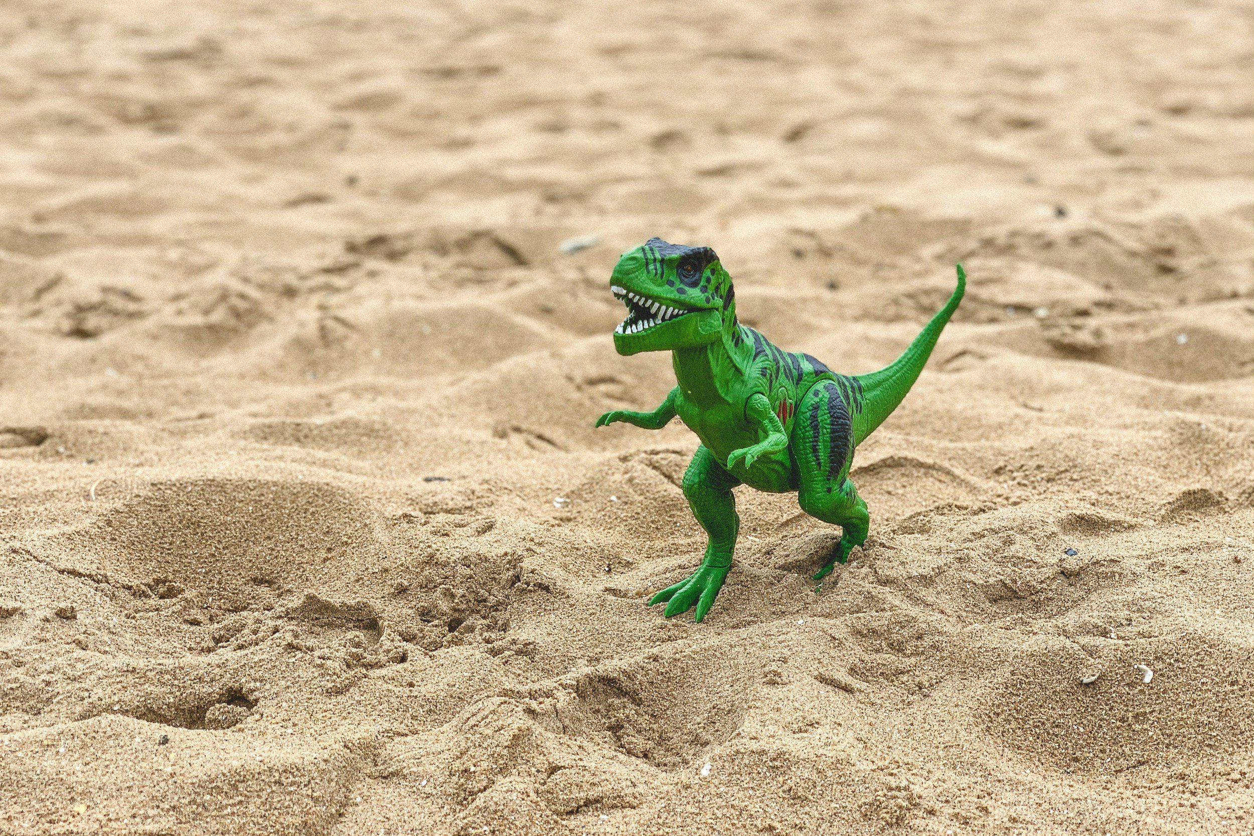Dino Day (3YO classes)
