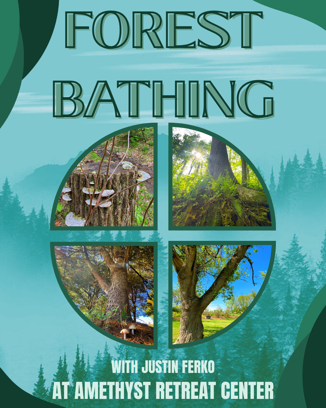 Forest Bathing *Morning*