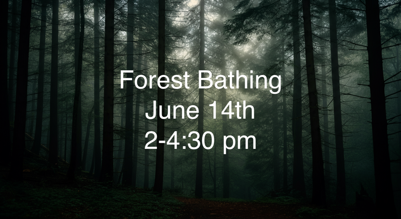 Forest Bathing