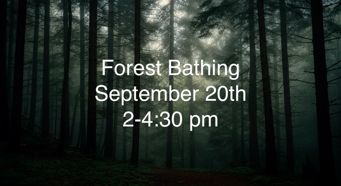Forest Bathing