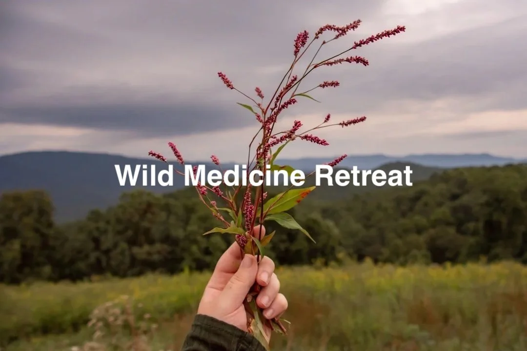 Foraging and Medicinal Medicine Workshop and Retreat